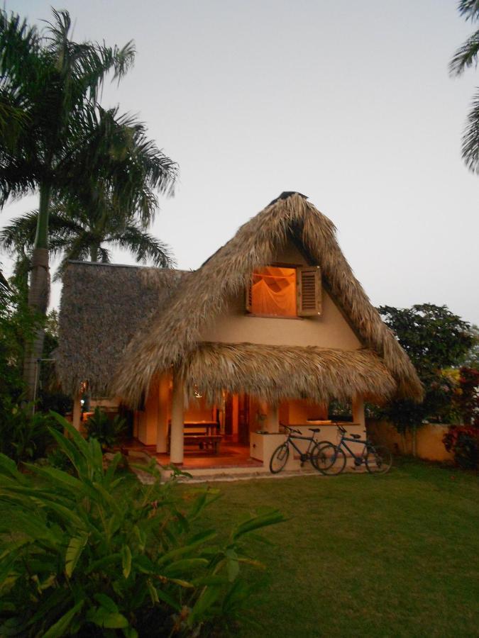 Palm-Covered House In The Tropical -Casa Oli Лас Галерас Екстериор снимка