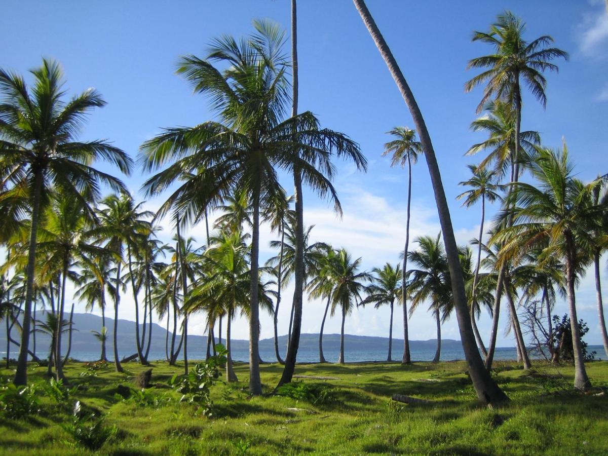 Palm-Covered House In The Tropical -Casa Oli Лас Галерас Екстериор снимка