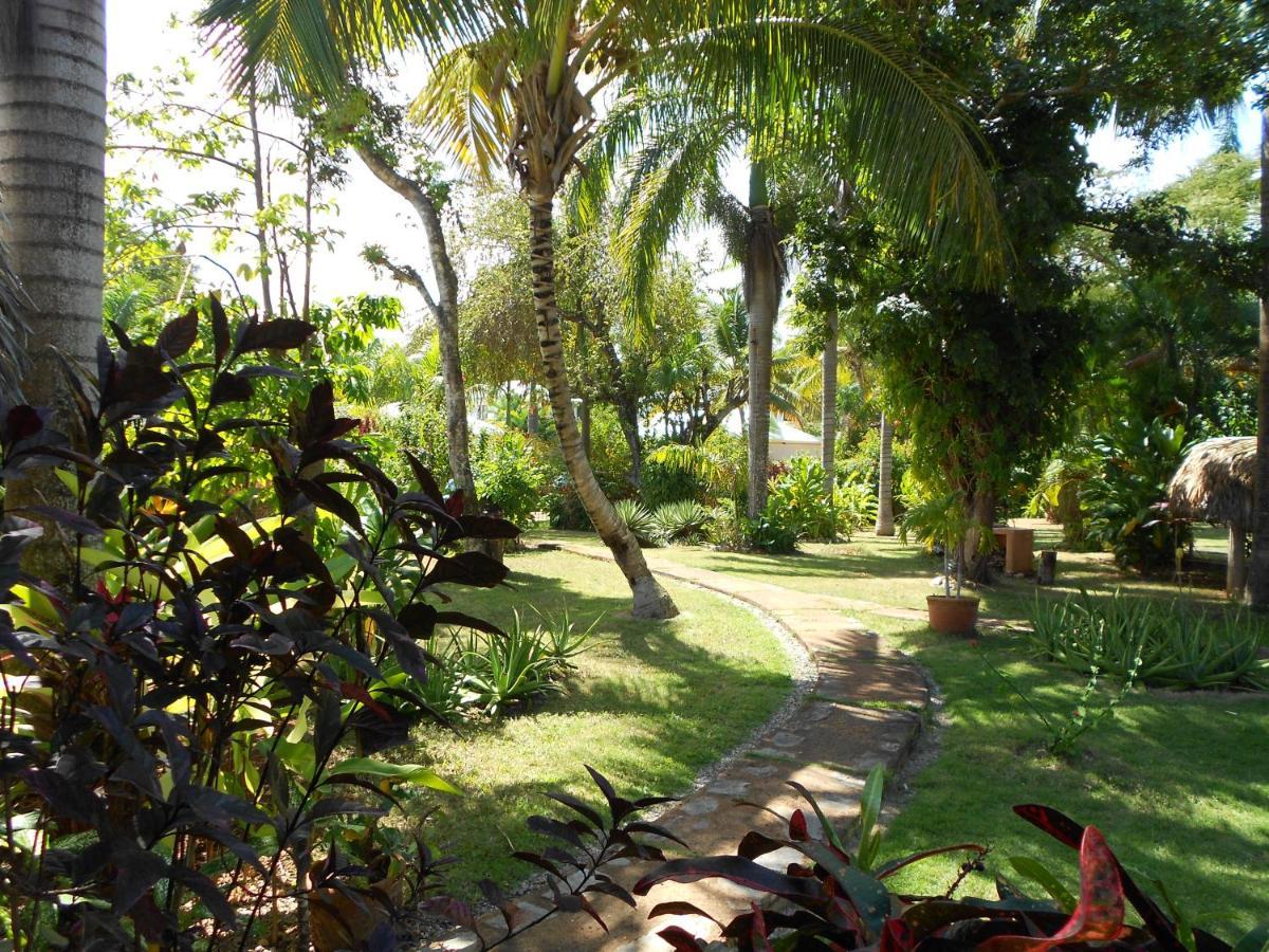 Palm-Covered House In The Tropical -Casa Oli Лас Галерас Екстериор снимка